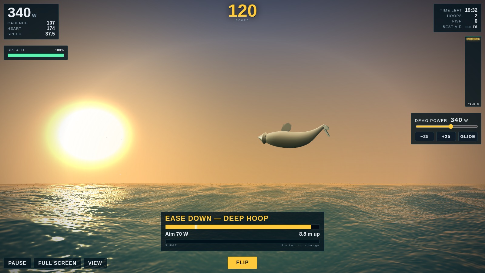 A dolphin high above a golden sea at sunrise, gulls around it